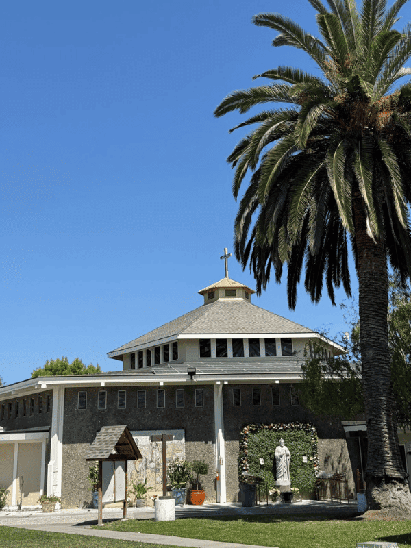 Church exterior with palm trees